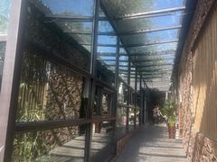 -清雅臻品·竹林院落·新派青岛菜(崂山店)
