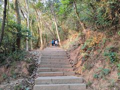 -梧桐山风景名胜区