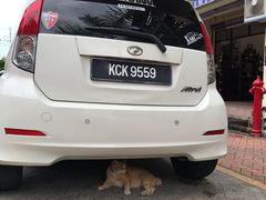 -槟城街头艺术街区