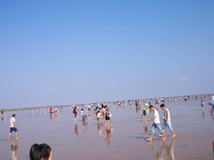 -南汇新城海滩
