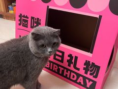 -烤匠麻辣烤鱼(环球中心店)