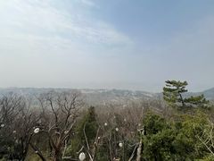 -狼山风景名胜区