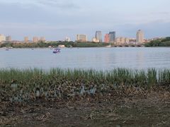 -长春市南湖公园