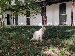 -西园戒幢律寺