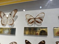 -上海昆虫博物馆