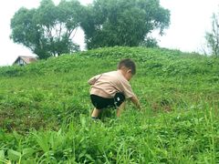 -观澜小洱海