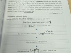 -启德考培雅思托福留学(香洲校区)