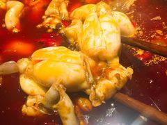 -销魂美蛙鱼头火锅(上海首店)