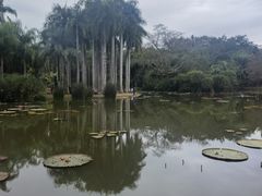 -中国科学院西双版纳热带植物园