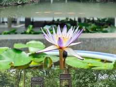 -杭州植物园