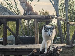 -祥源·阜阳生态乐园