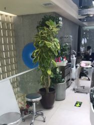 -木北造型