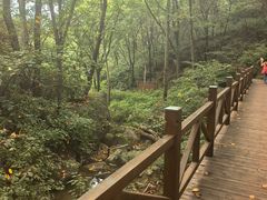 -大岭沟猕猴桃谷风景区