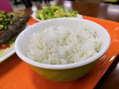 米饭-中南大学-食堂第3食堂