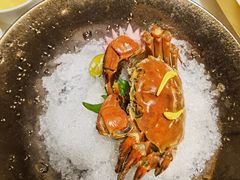 -人间采蜜(海信广场店)