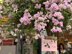 -花神·轻食简餐·咖啡馆·花卉绿植(荷兰花卉小镇店)