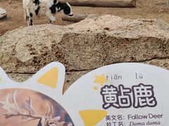 -武汉动物园