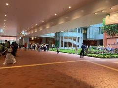 -香港大学