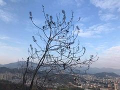 -梅峰山地公园