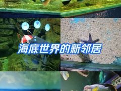 -重庆欢乐海底世界
