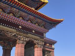 -塔尔寺-菩提树