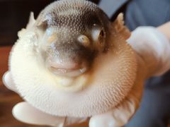 -永安鱼庄·镇江菜(丁卯店)