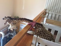 -长颈鹿咖啡(大学路店)