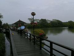 -大湾区中央湿地公园