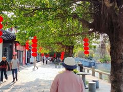 -南沙蒲洲花园