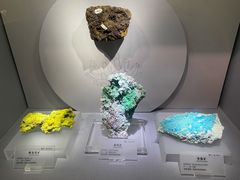 -湖南省地质博物馆