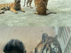 -南京金牛湖风景区