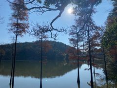 -广州市石门国家森林公园