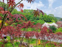 -广州市帽峰山景区