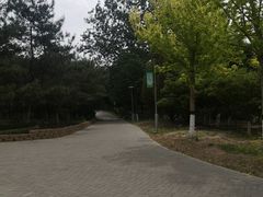 -大兴滨河森林公园