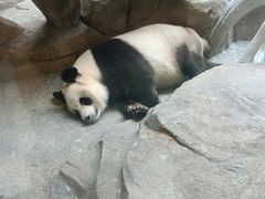 -宁波野生动物园