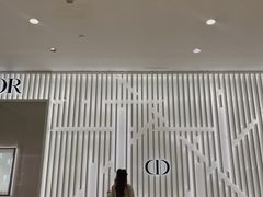 -DIOR迪奥(德基广场女装店)