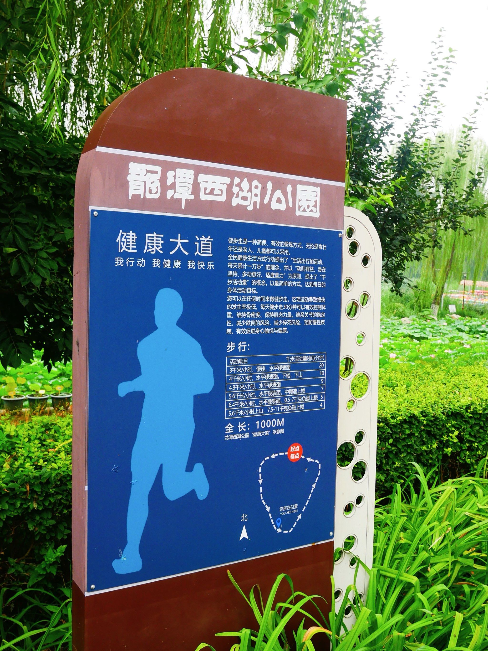 一个小时候没去过任何游乐园的人😑
