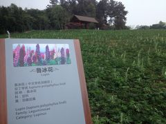 -保利石象湖景区