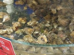-叶存利海鲜大馅饺子(东戴河止锚湾店)