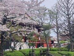 -浅草寺