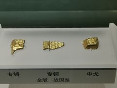 -上海博物馆(人民广场馆)