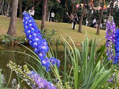 -人民公园(罗湖区)