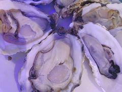 -千岛蚝高压锅生蚝·人参火锅(白云万达店)