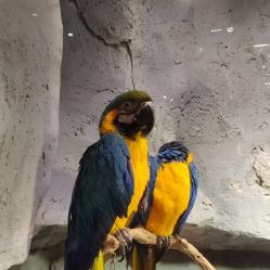 -Zoolung Zoolung动物主题公园(海信广场店)