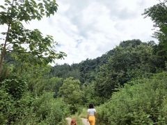 -秦岭风景区