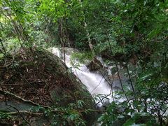 -海南热带雨林国家公园吊罗山景区