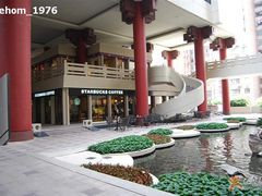 环境-上海波特曼丽思卡尔顿酒店