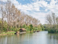 -溱湖国家湿地公园