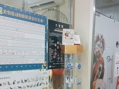 -宠物星动物医院·眼科·异宠·猫科(江南大道总院)