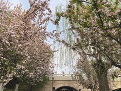 -海棠花溪(元大都城垣遗址公园)